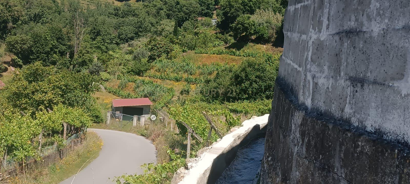 Terreno agrícola com àgua e viabilidade de construção em Granja, S. Tomé de Covelas, Baião, perto do do rio Douro, Porto - Image 2