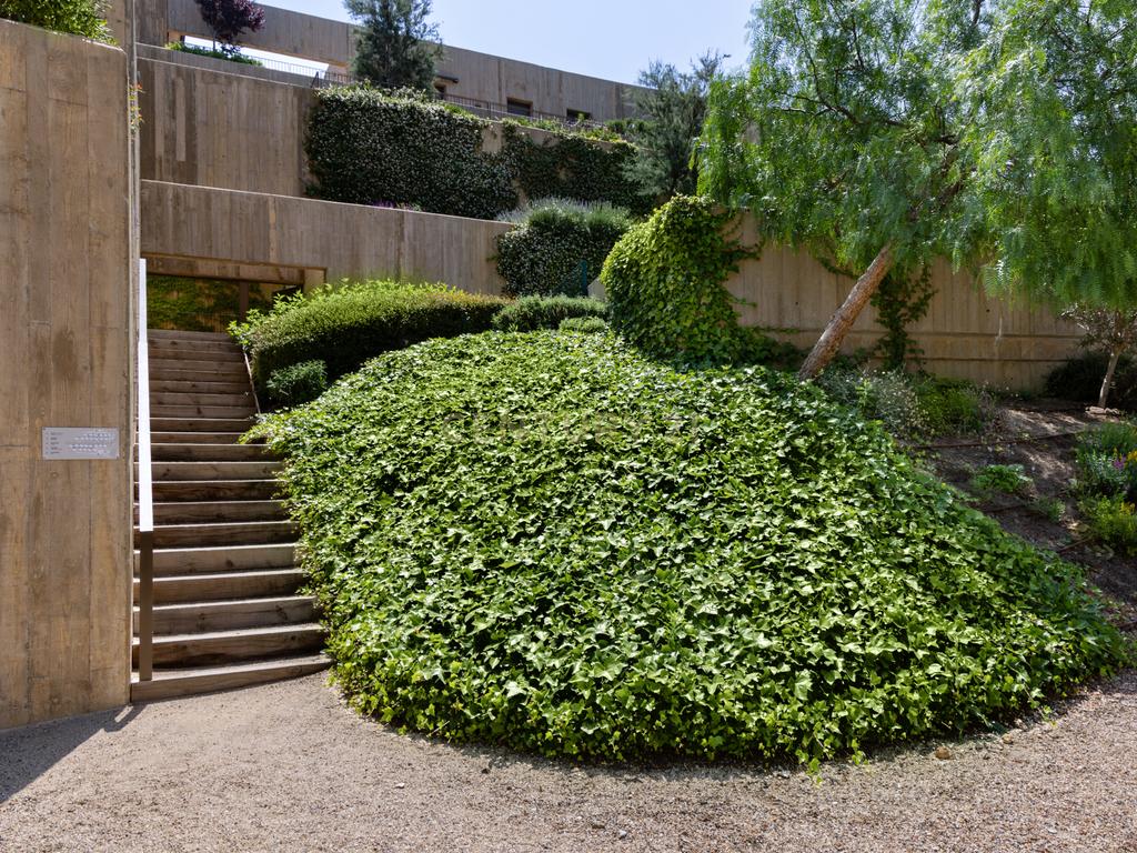  - Image 46