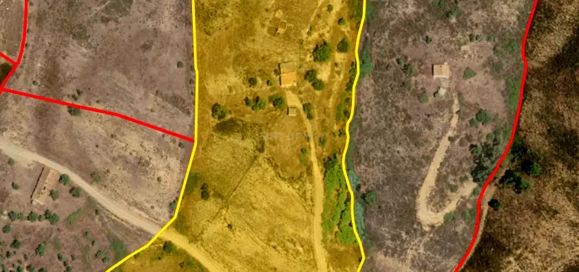 Herdade com 6 Ha com uma casa térrea - Image 18