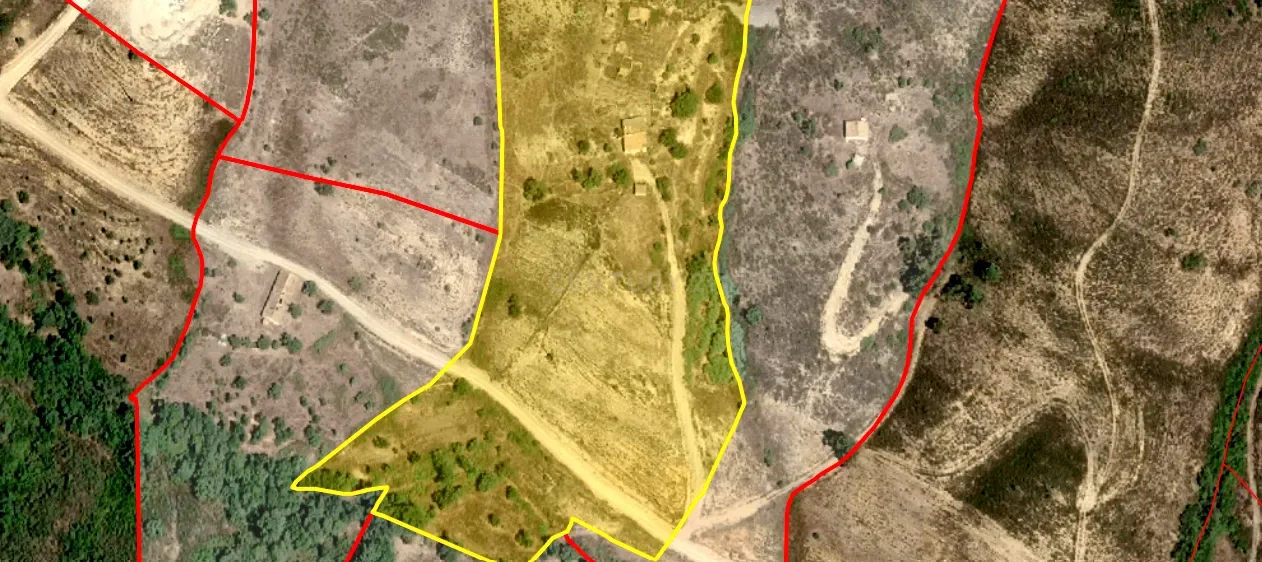 Herdade com 6 Ha com uma casa térrea - Image 19