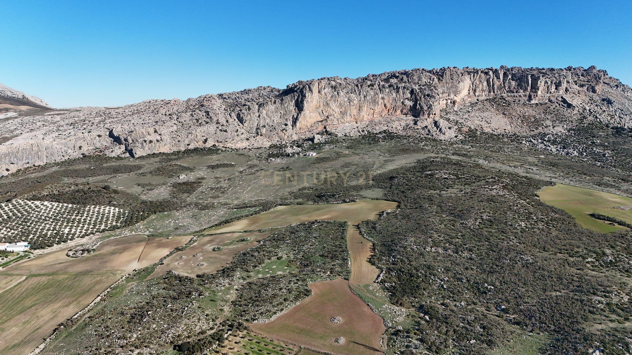 undefined - Image 8