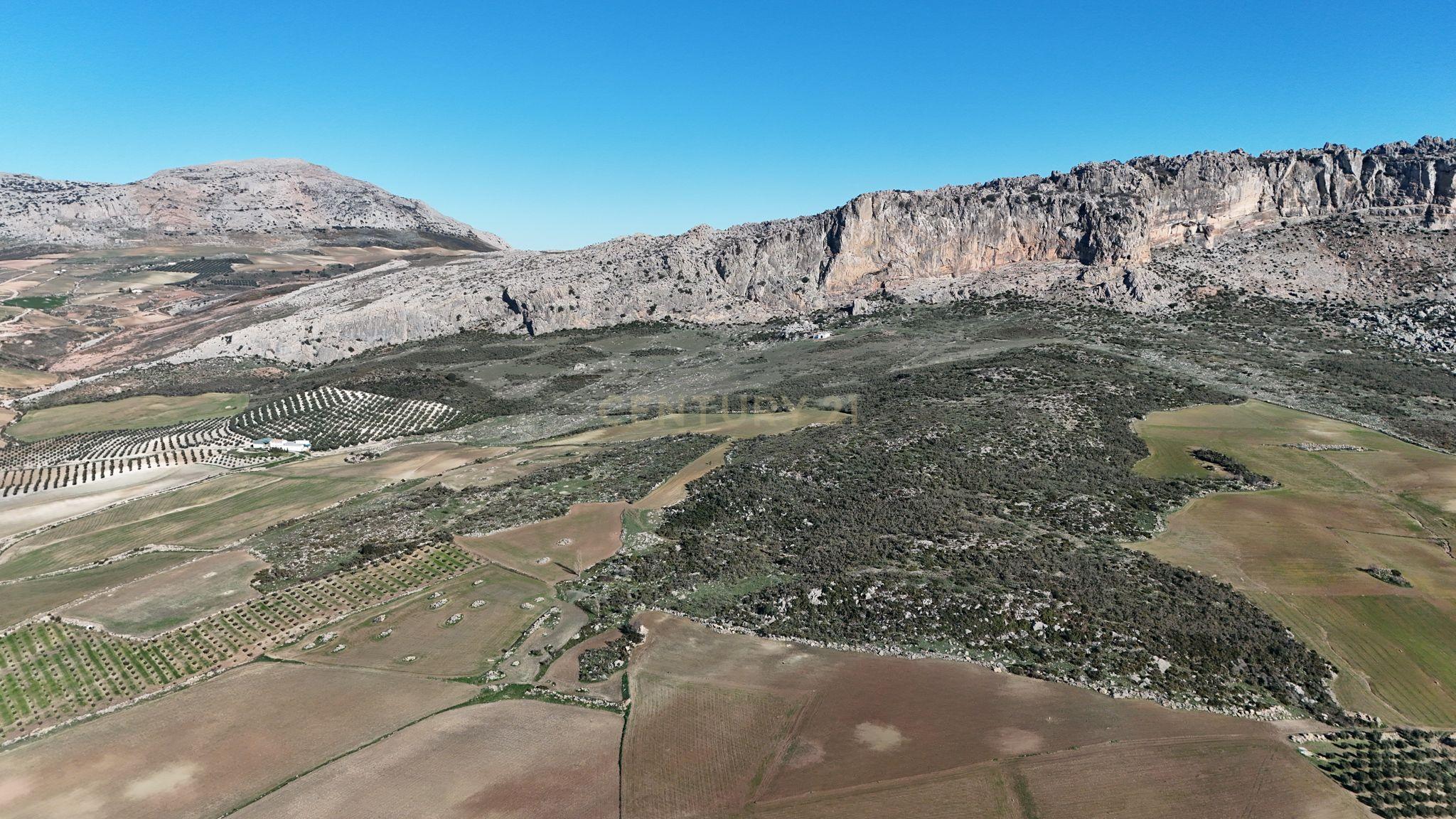 undefined - Image 5