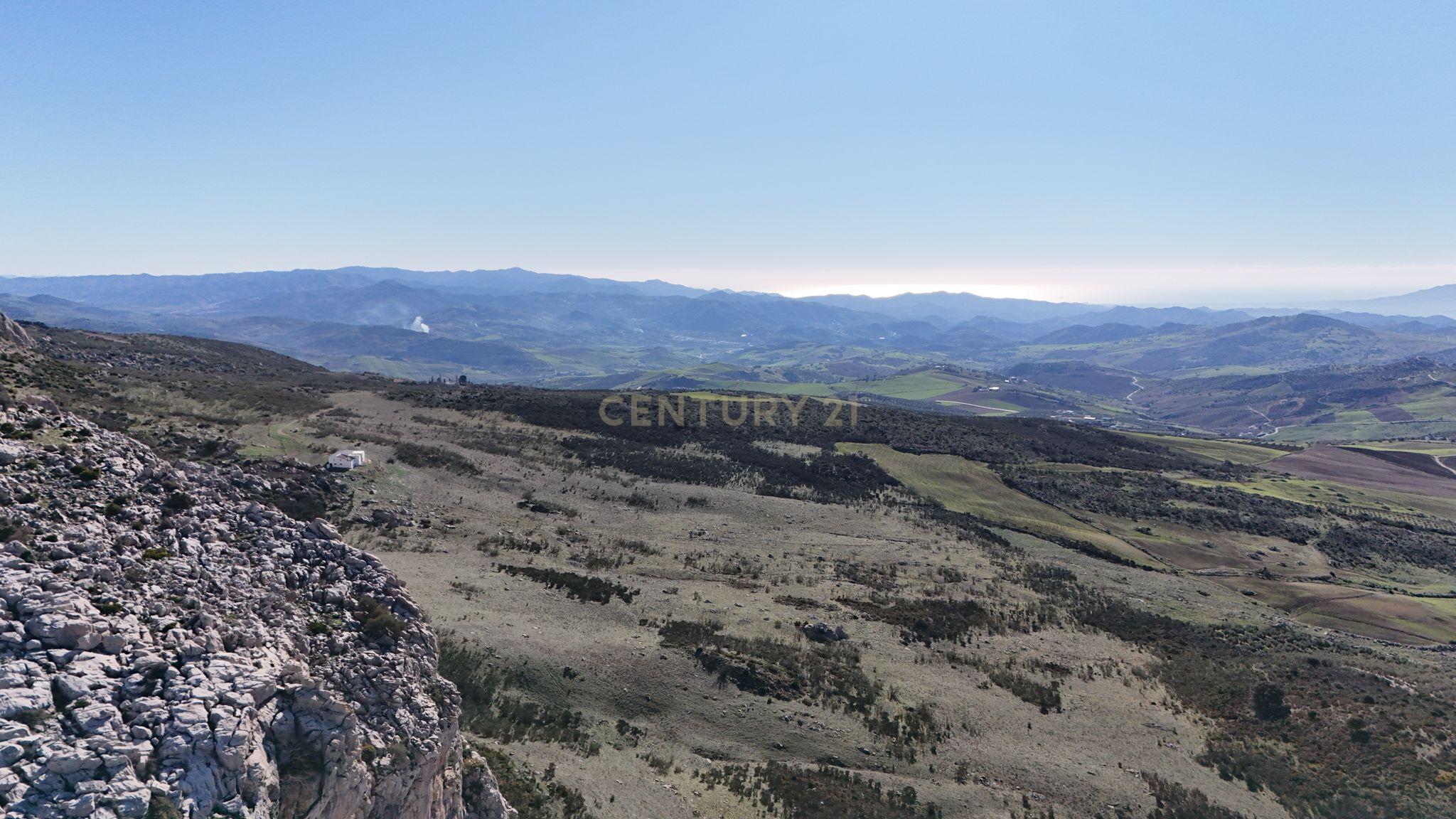 undefined - Image 2