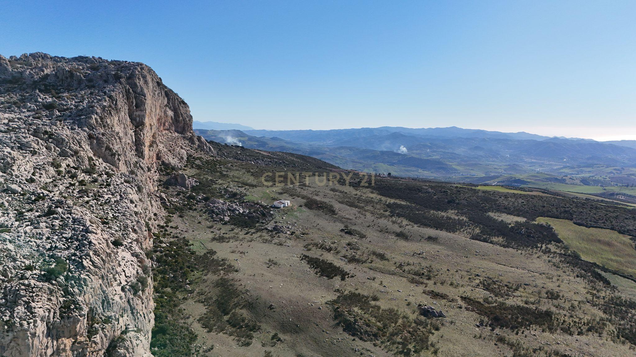 undefined - Image 3