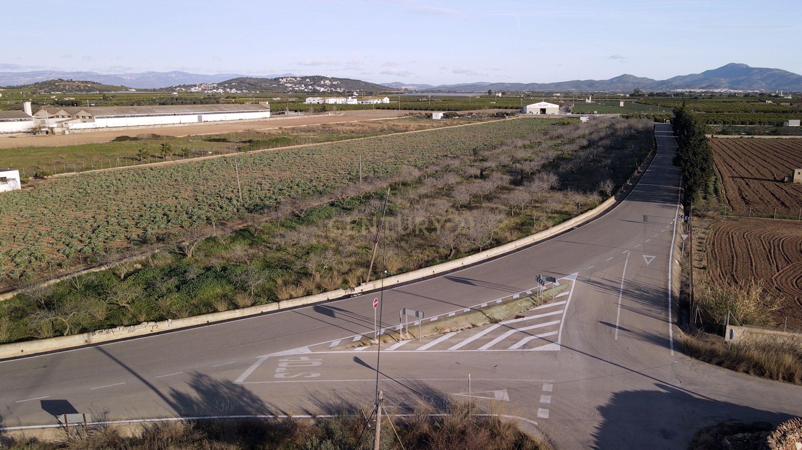 - Image 7