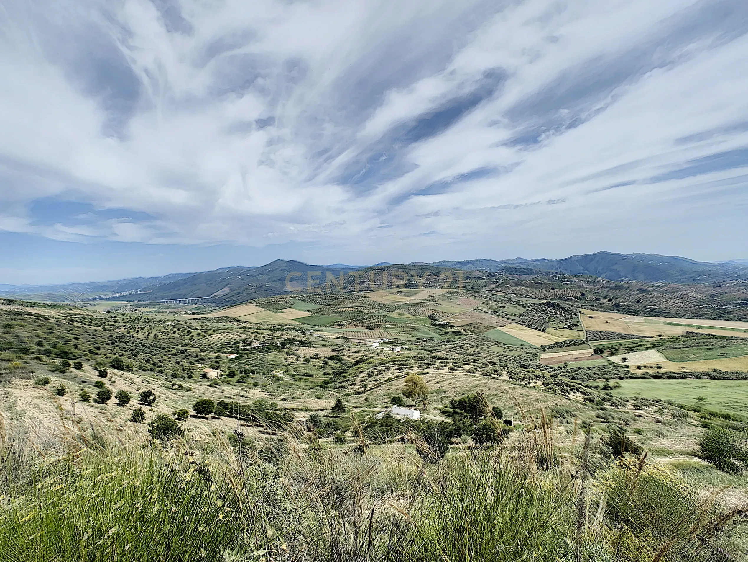 - Image 23