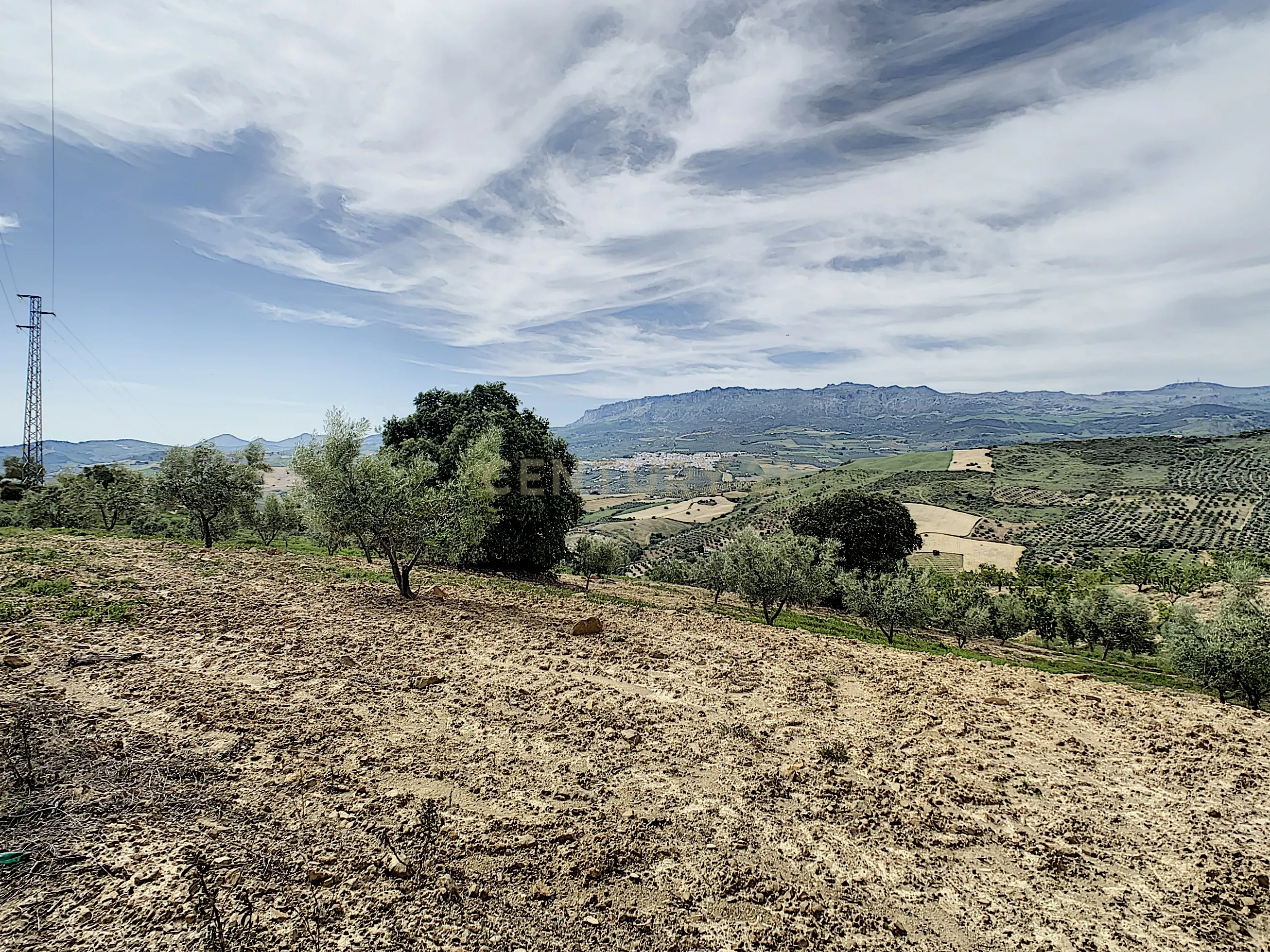 - Image 31