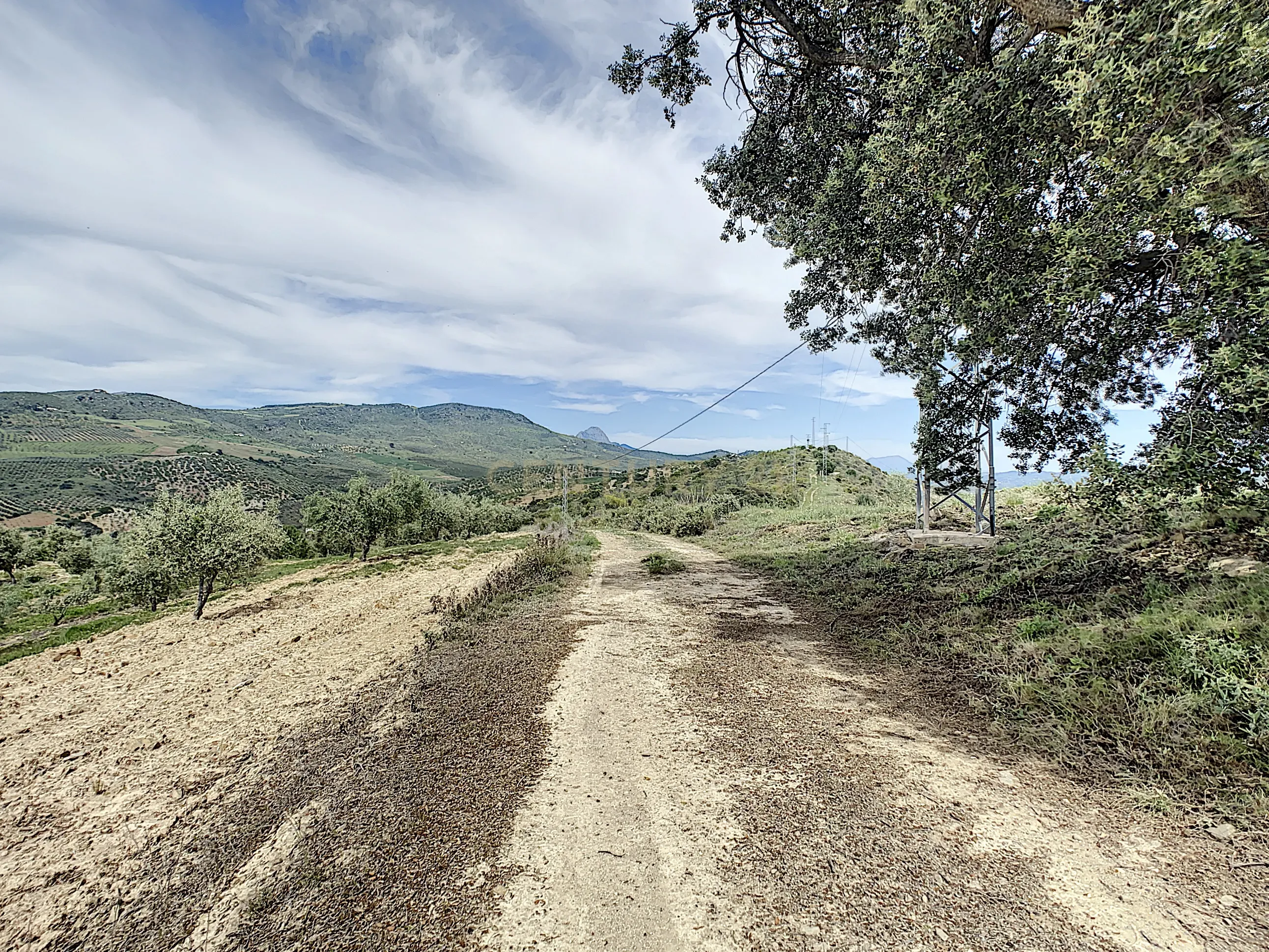 - Image 30