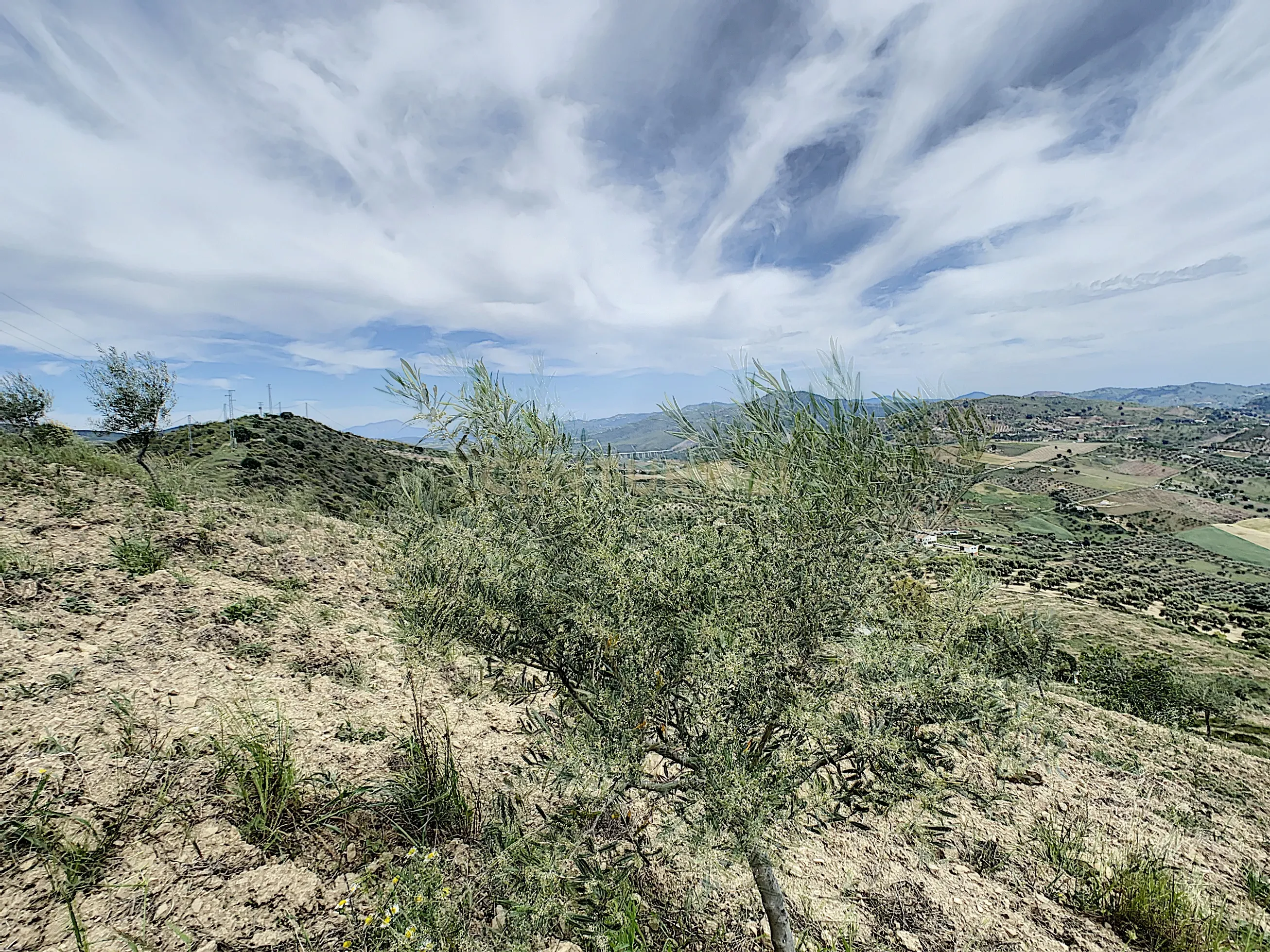 - Image 33
