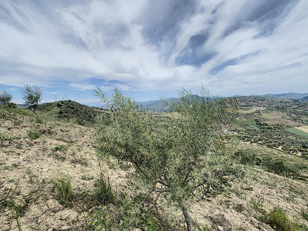  - Image 33