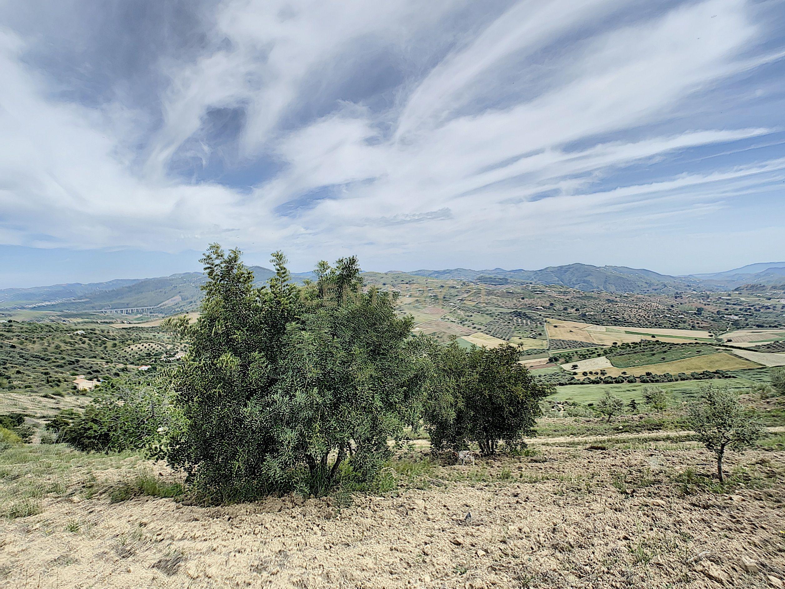 - Image 32