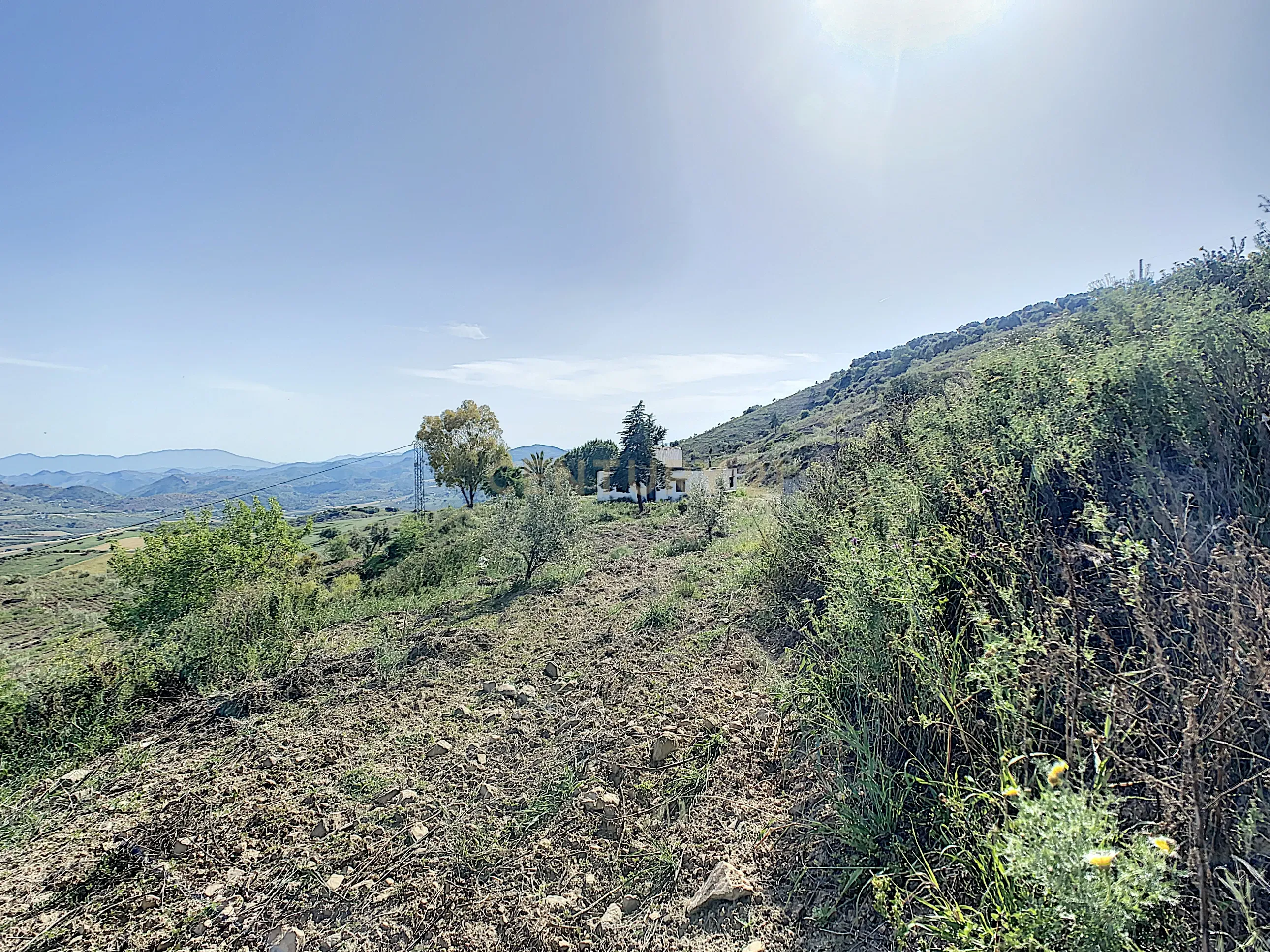- Image 25