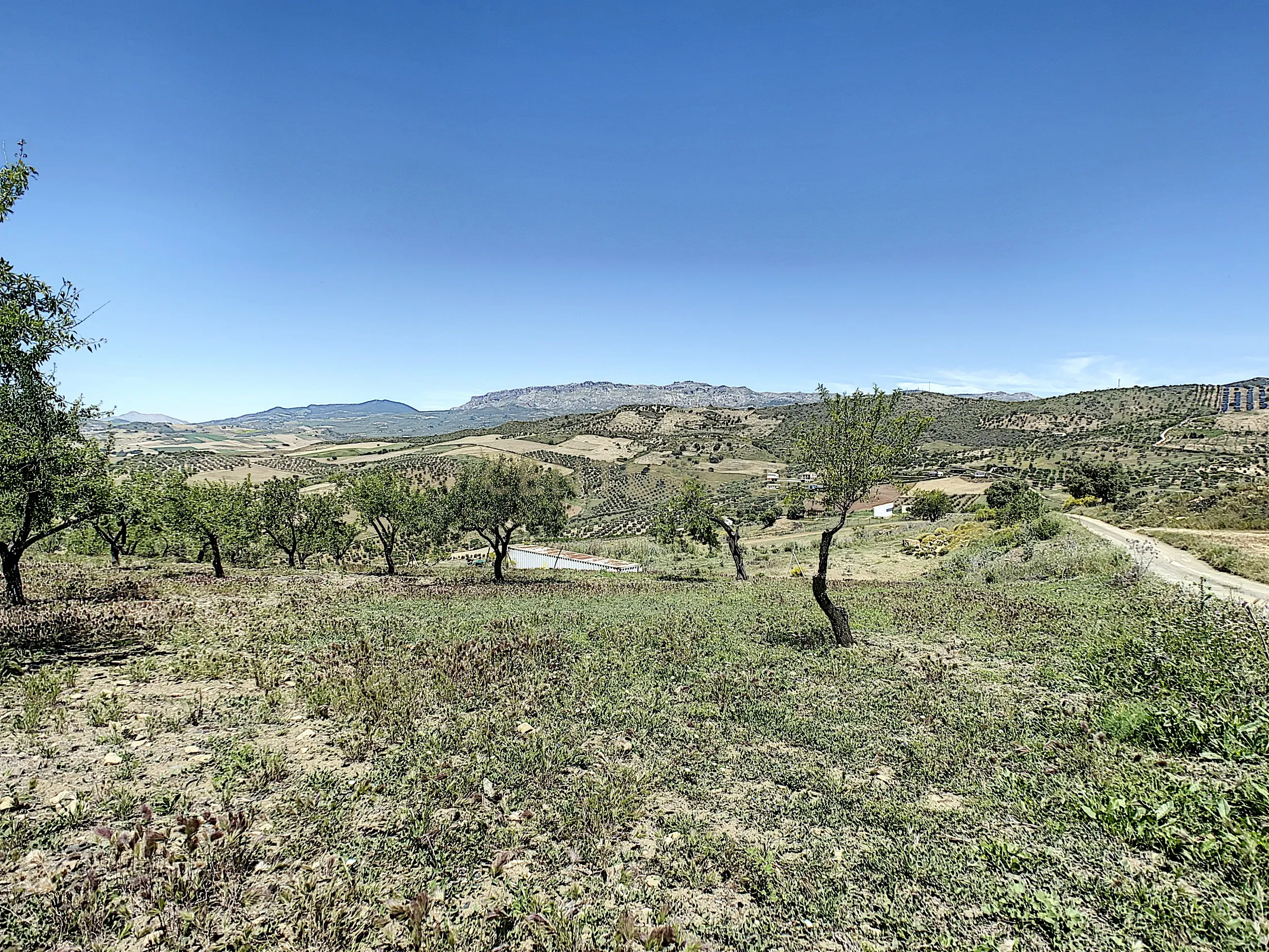- Image 36