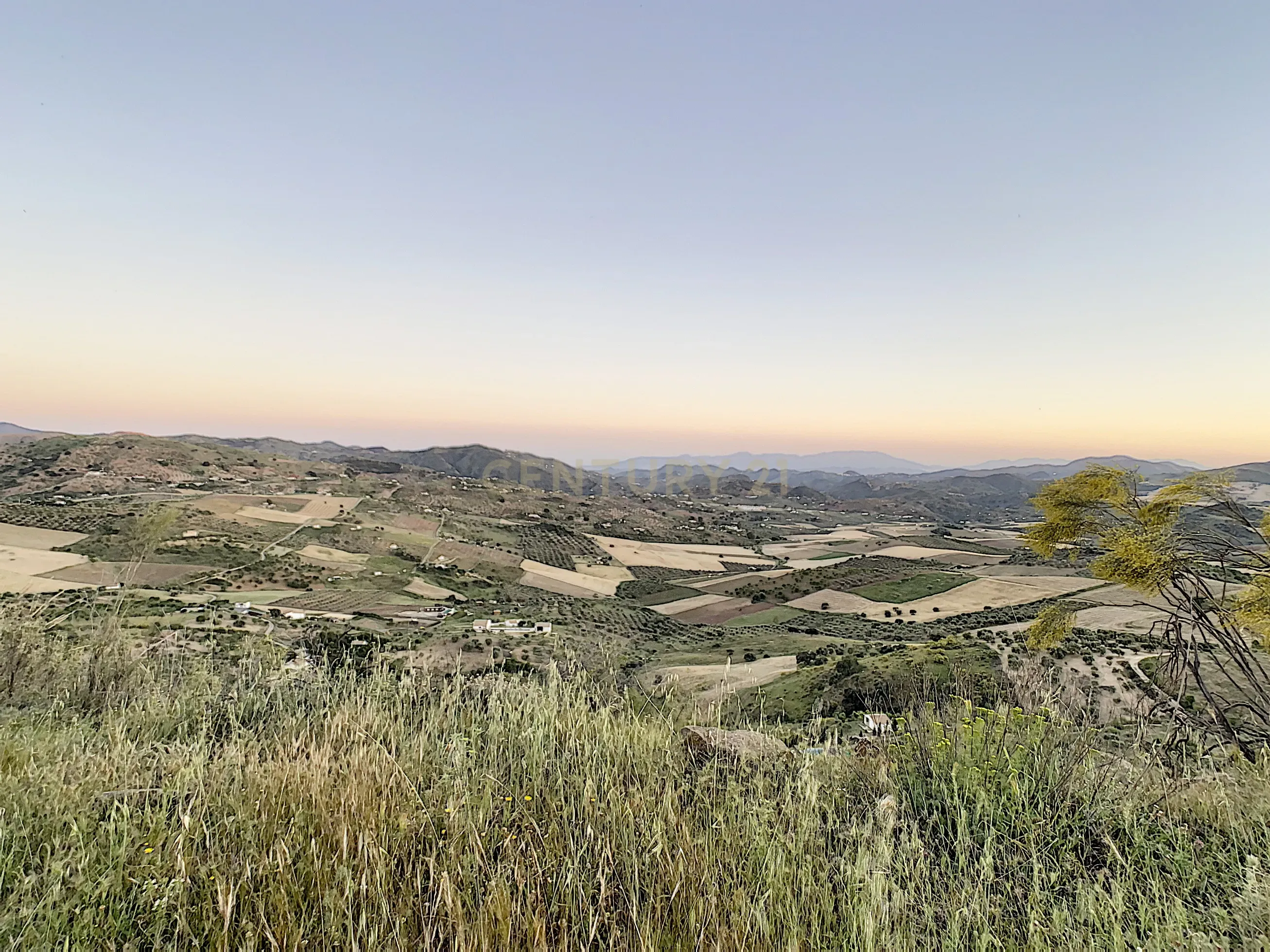 - Image 37