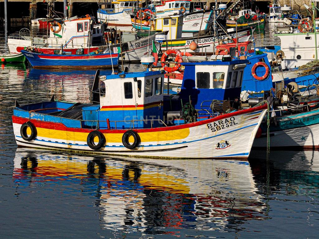 Moradia T4 Isolada Na Cotovia em Sesimbra. - Image 7
