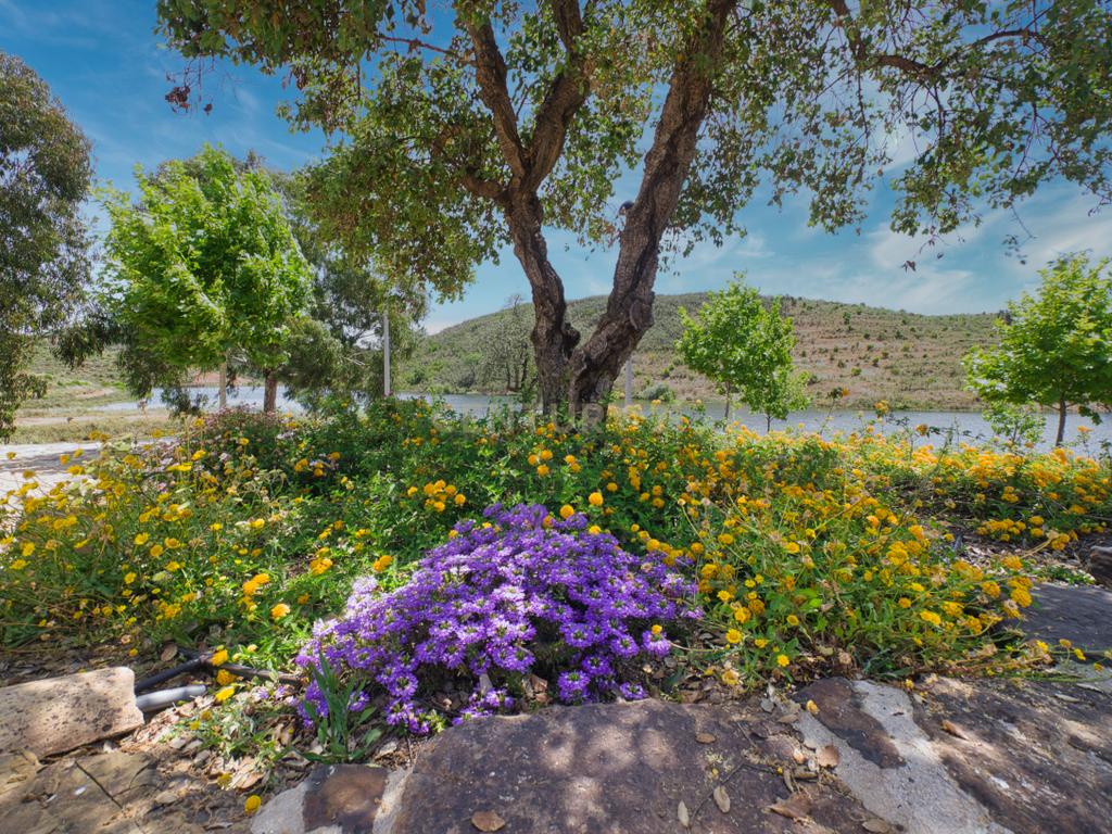 Herdade de 271 Hectares no Barlavento Algarvio, com moradia + 4 estudios, piscina, 9 barragens, 3 estufas. - Image 59