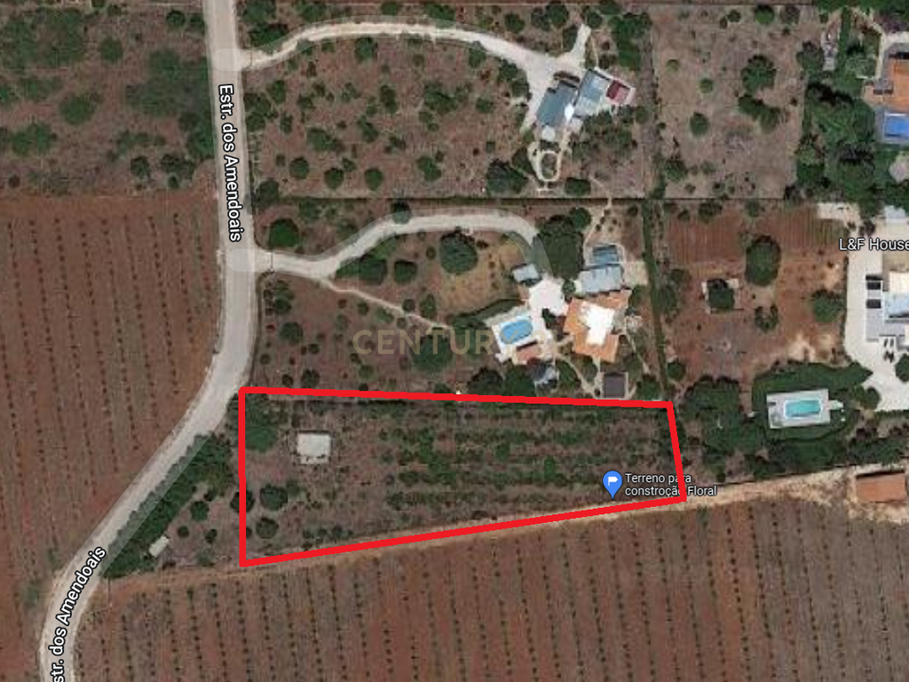 Terreno Construção | 2920 m2 | Foral | São Bartolomeu de Messines - Image 10