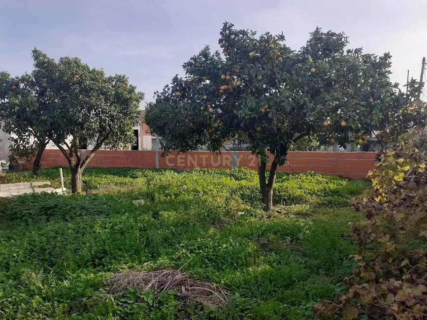Lote de Terreno Urbano - Image 1
