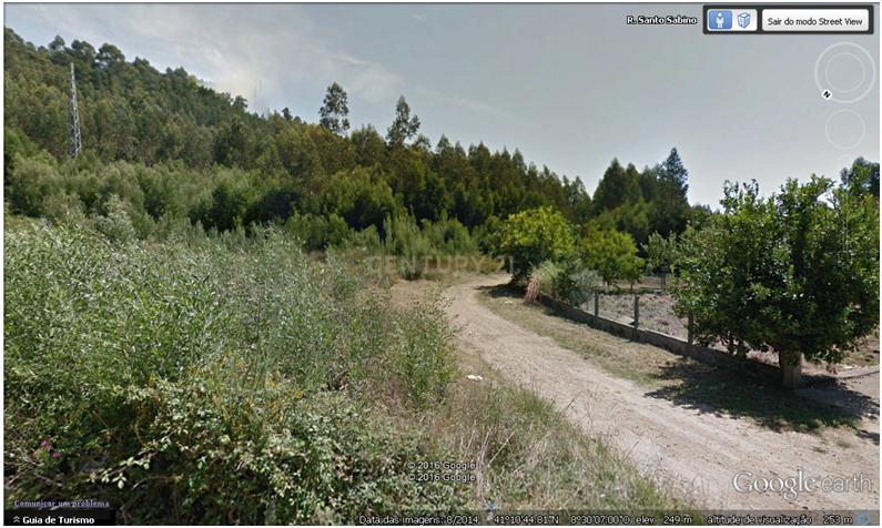 Terreno - Quinta Stª. Justa - Cultura e Pinhal - 6,98 ha - Valongo - Image 1