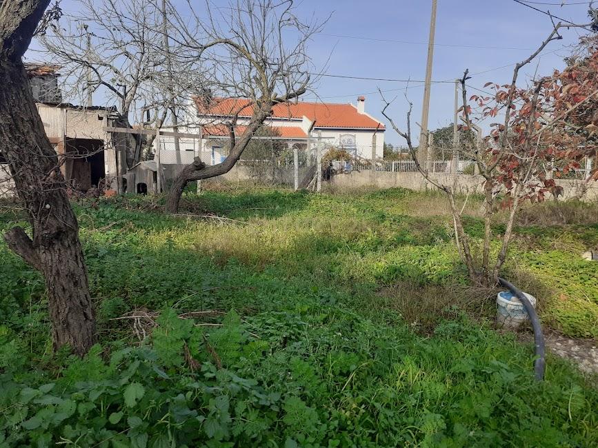 Lote de Terreno Urbano - Image 3