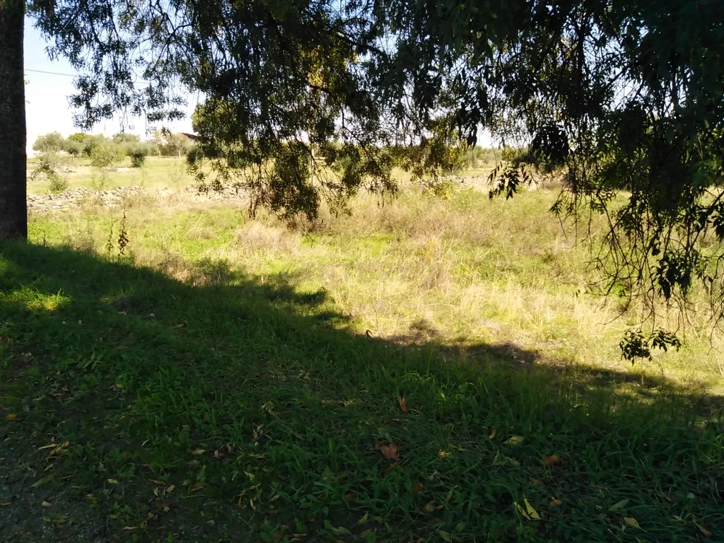 Tereno em Alcains, Castelo Branco - Image 13