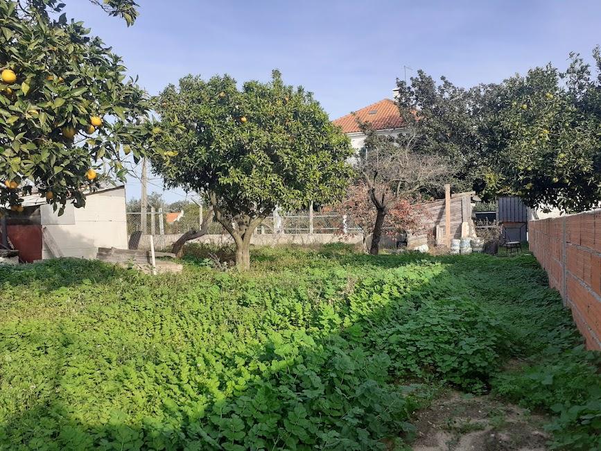 Lote de Terreno Urbano - Image 5