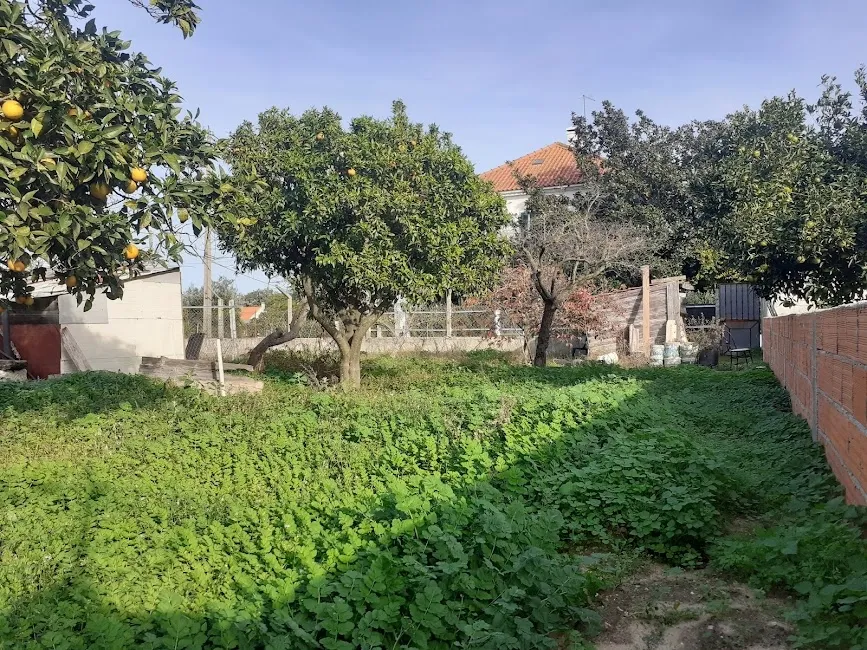 Lote de Terreno Urbano - Image 5