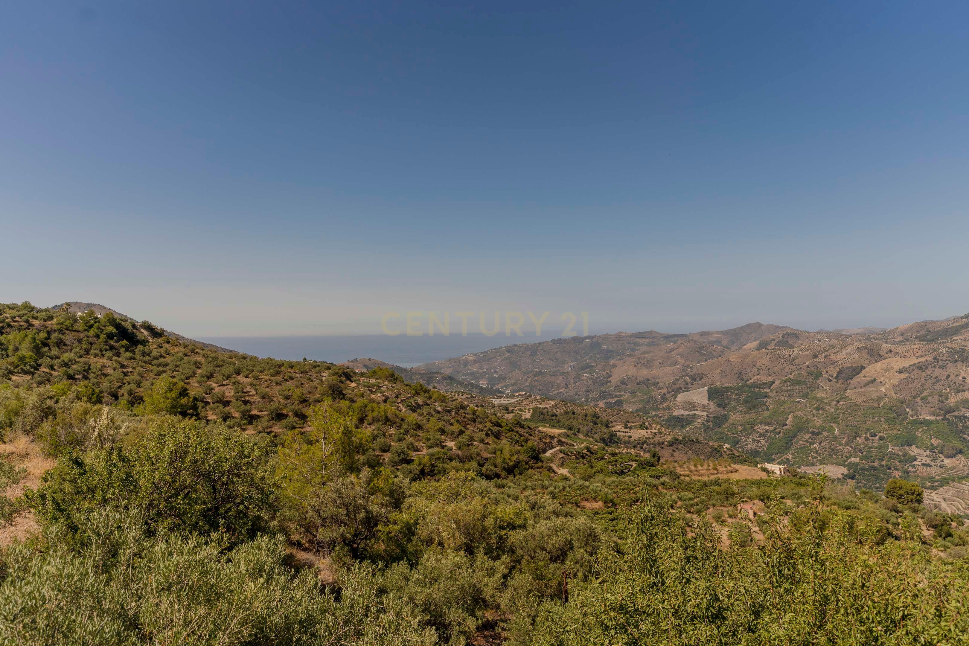 undefined - Image 93