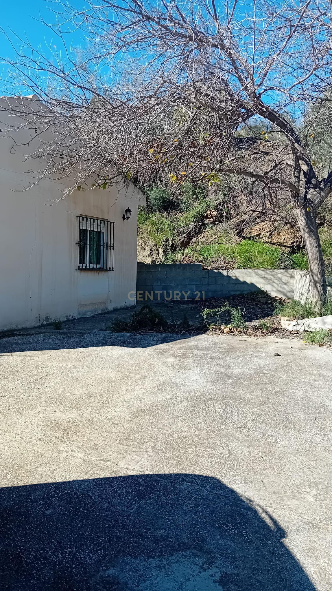 undefined - Image 31