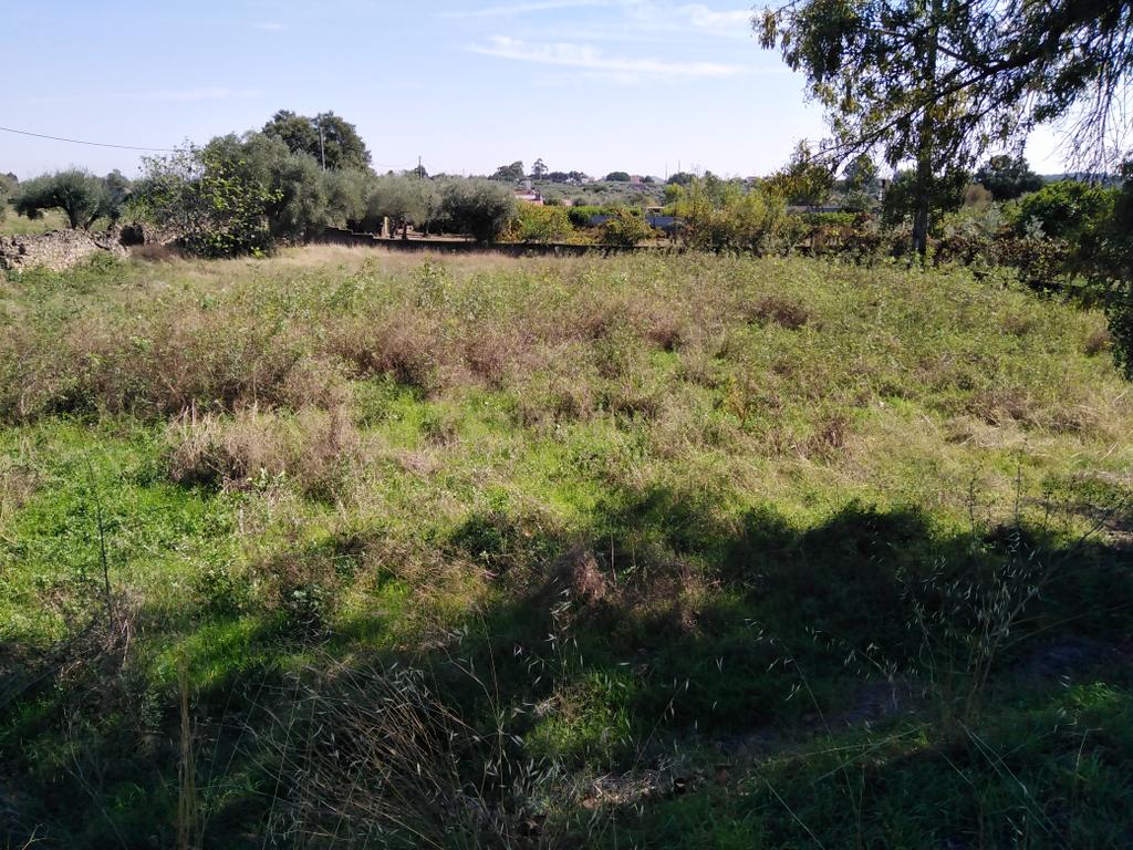 Tereno em Alcains, Castelo Branco - Image 10
