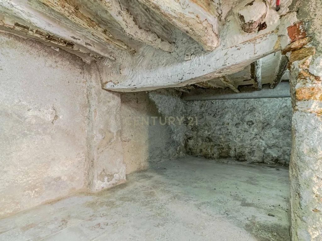 - Image 15