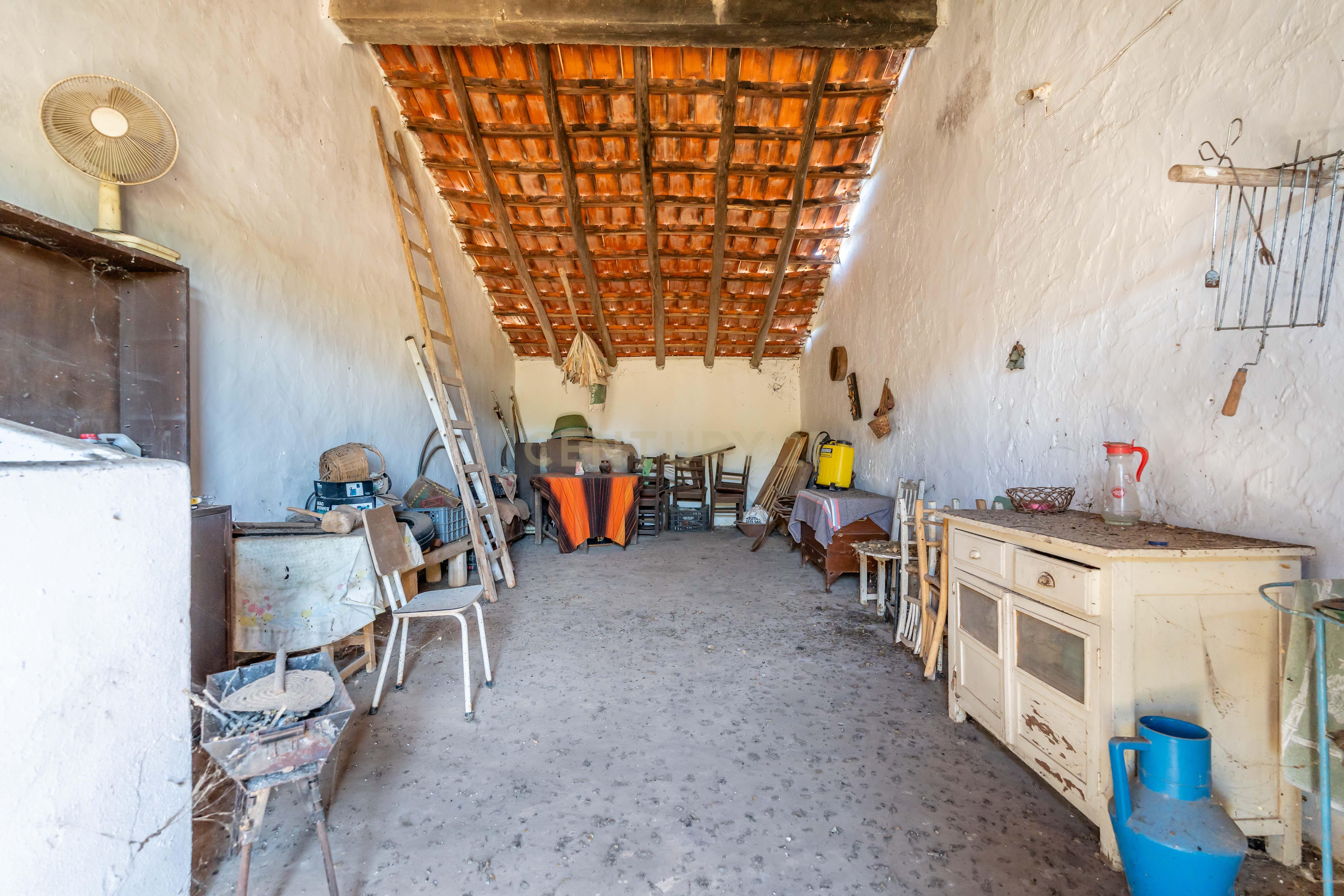 Quinta com Moradia a 20 minutos de Alcantarilha. - Image 14