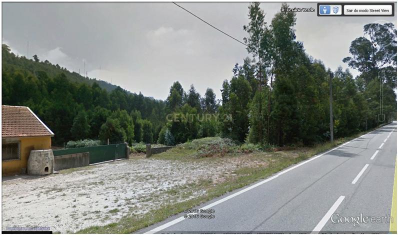 Terreno - Quinta Stª. Justa - Cultura e Pinhal - 6,98 ha - Valongo - Image 12
