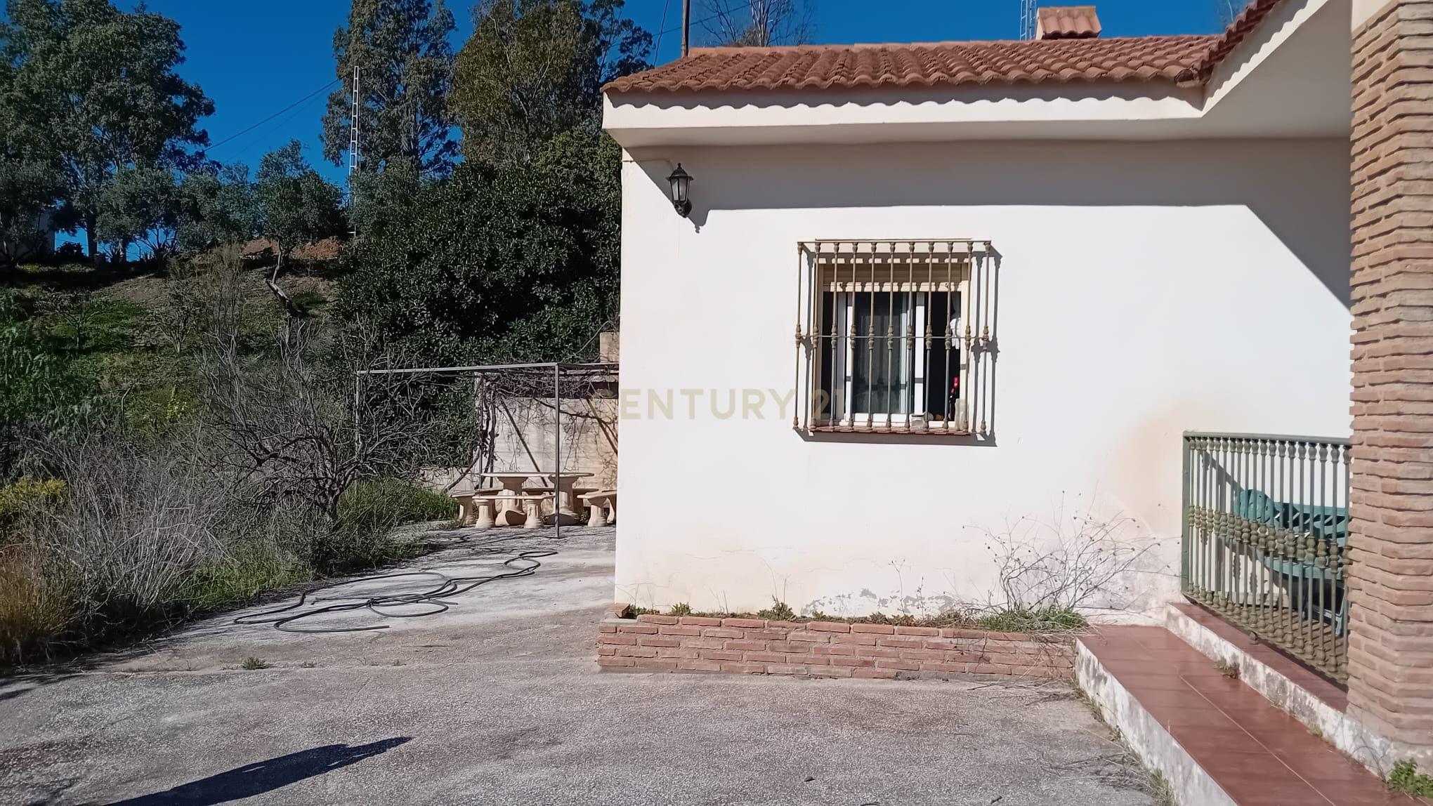 undefined - Image 8
