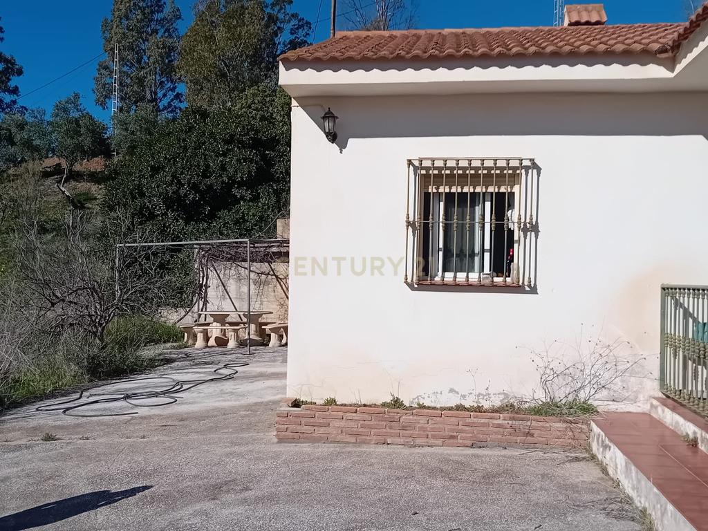 undefined - Image 8