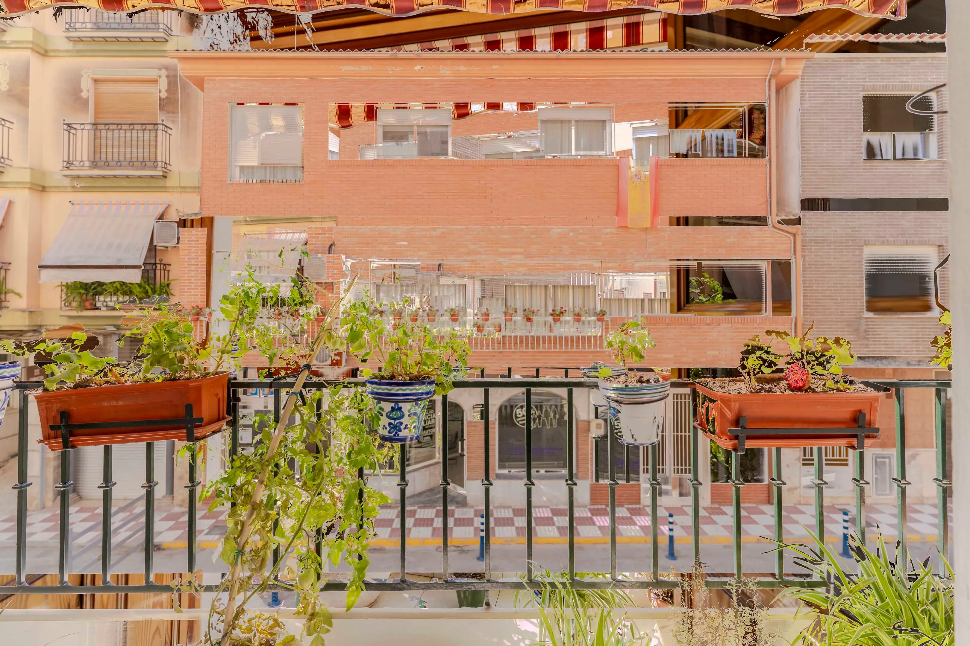 undefined - Image 5