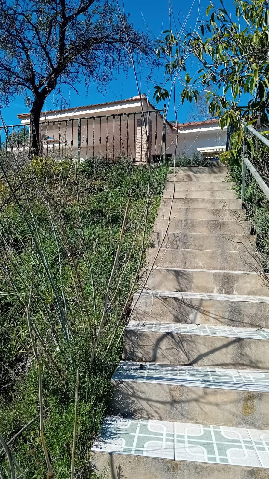 undefined - Image 36