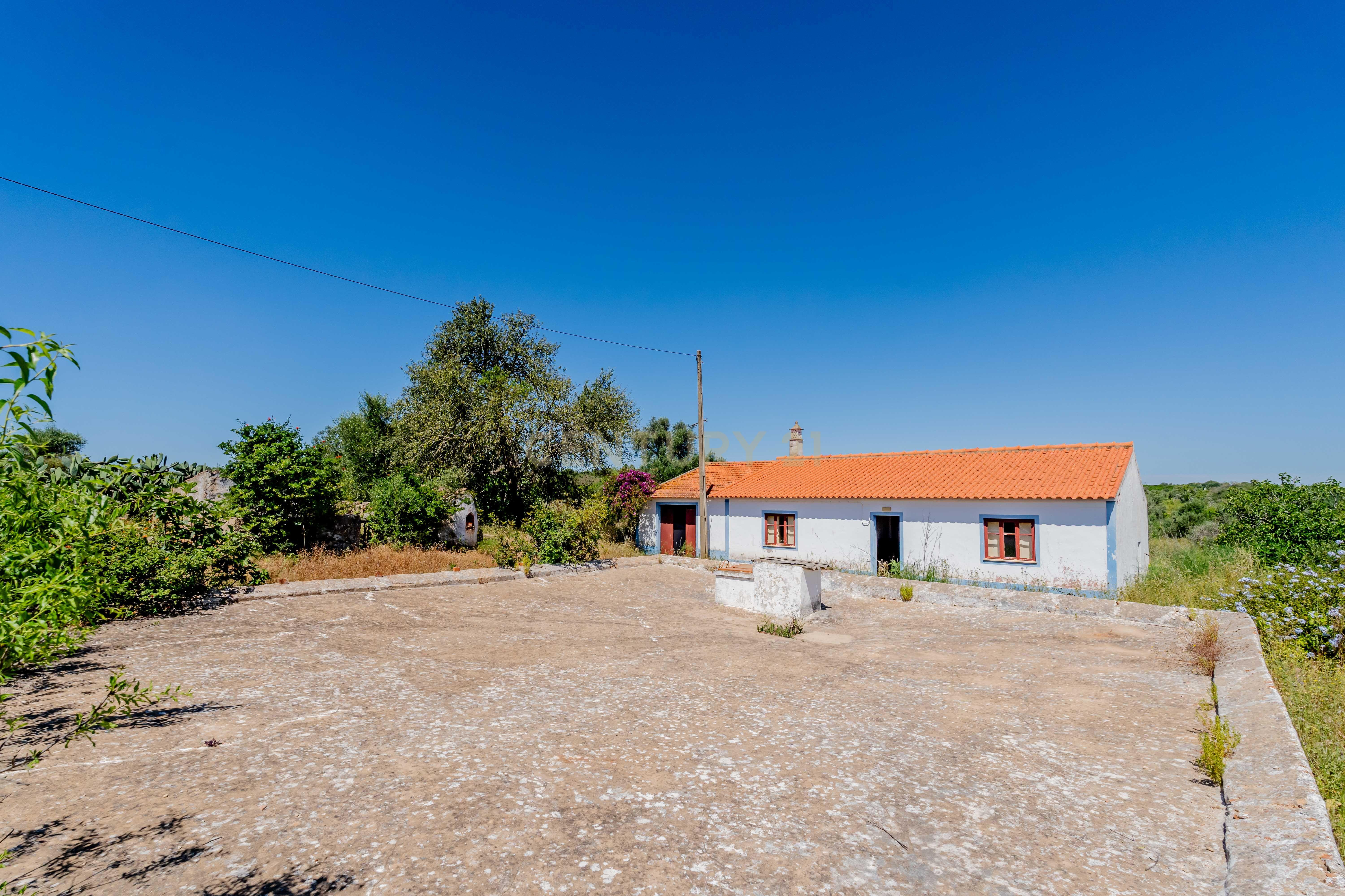 Quinta com Moradia a 20 minutos de Alcantarilha. - Image 21