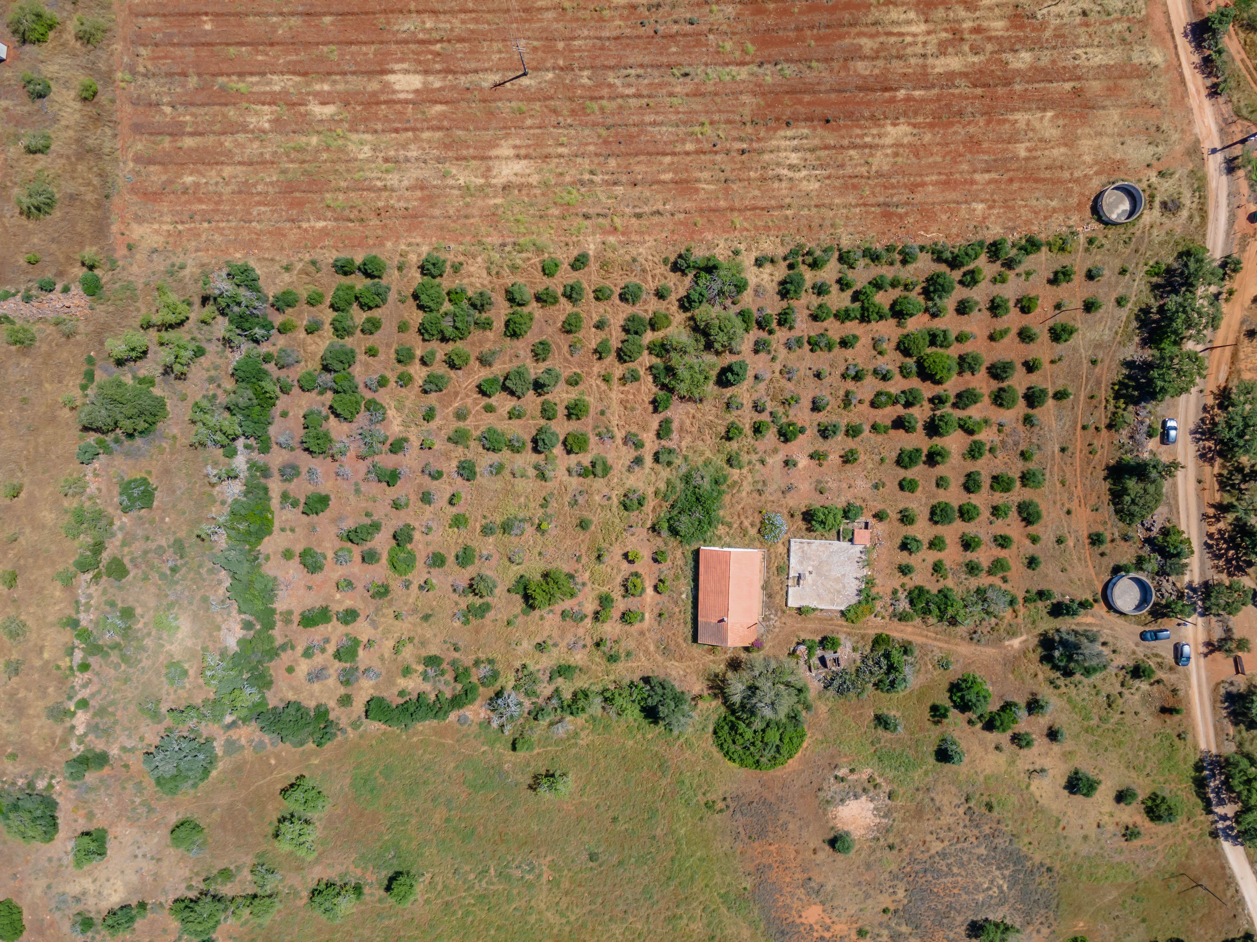Quinta com Moradia a 20 minutos de Alcantarilha. - Image 25