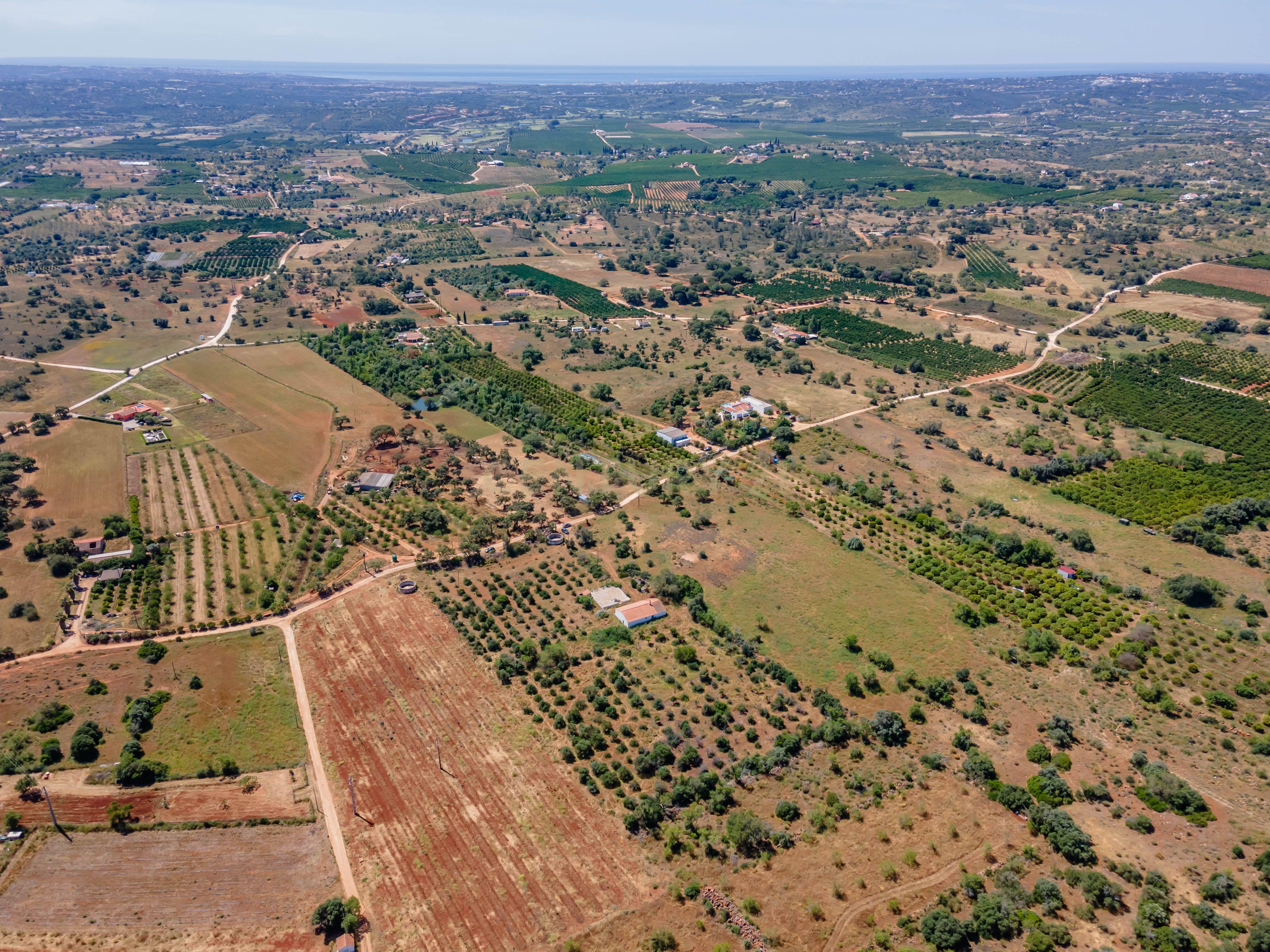 Quinta com Moradia a 20 minutos de Alcantarilha. - Image 26
