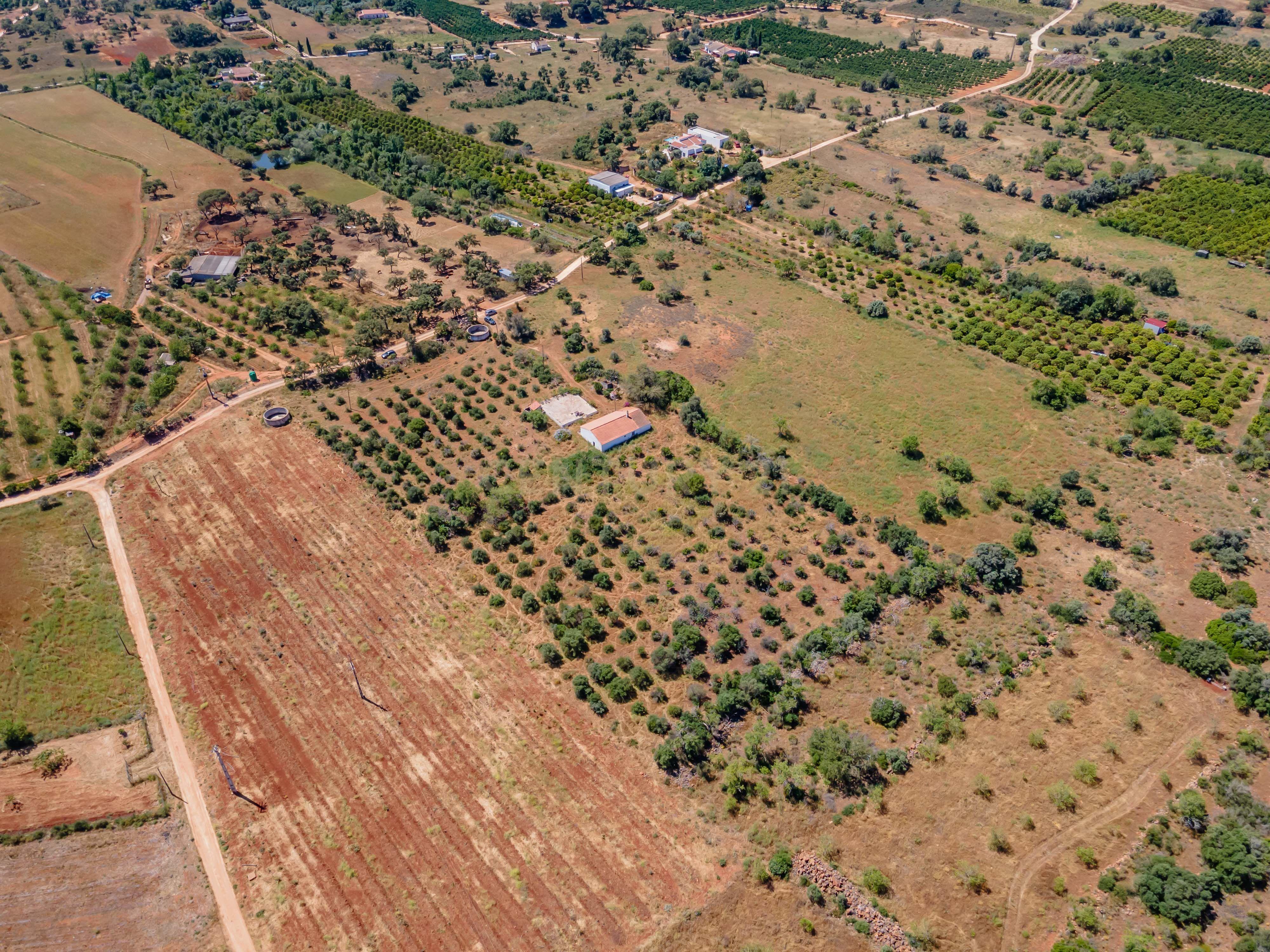 Quinta com Moradia a 20 minutos de Alcantarilha. - Image 29