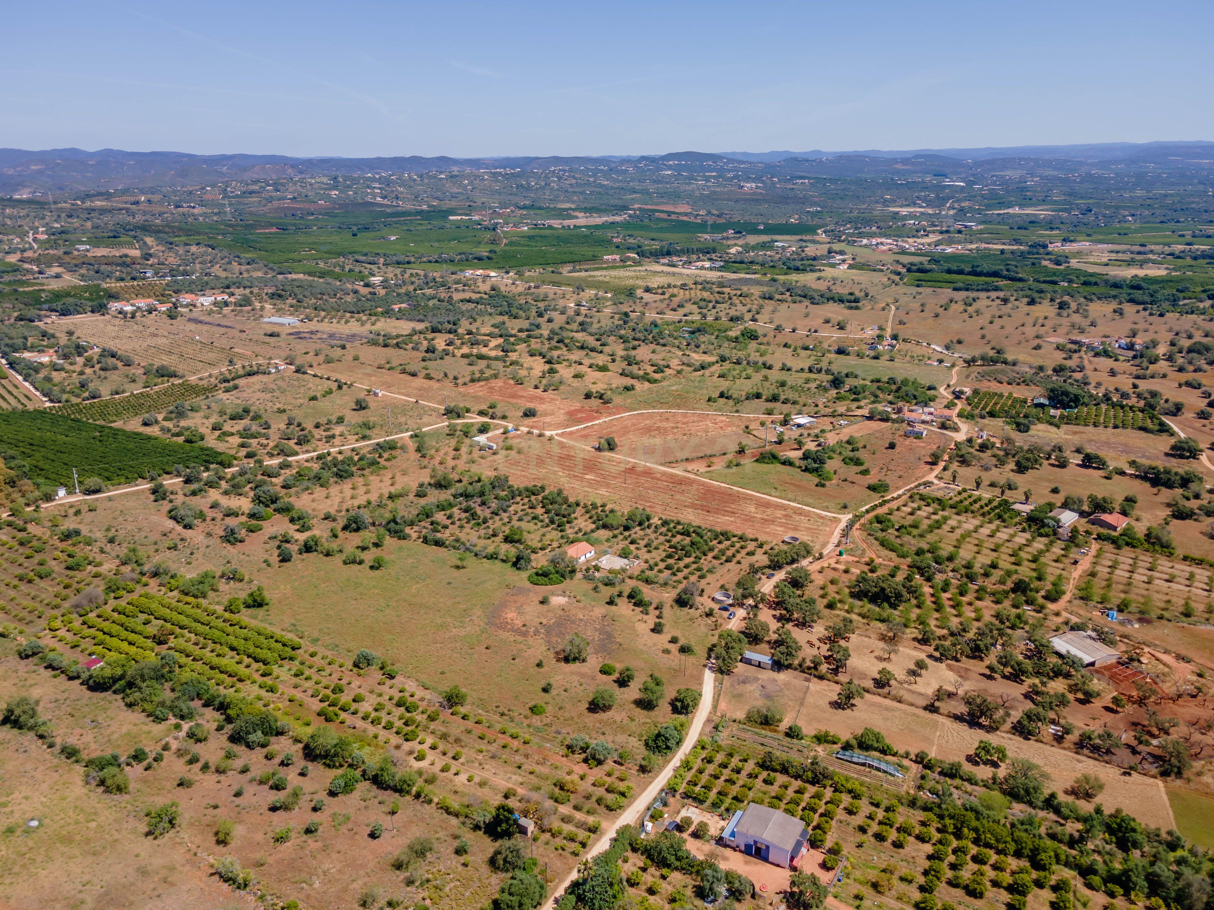 Quinta com Moradia a 20 minutos de Alcantarilha. - Image 31