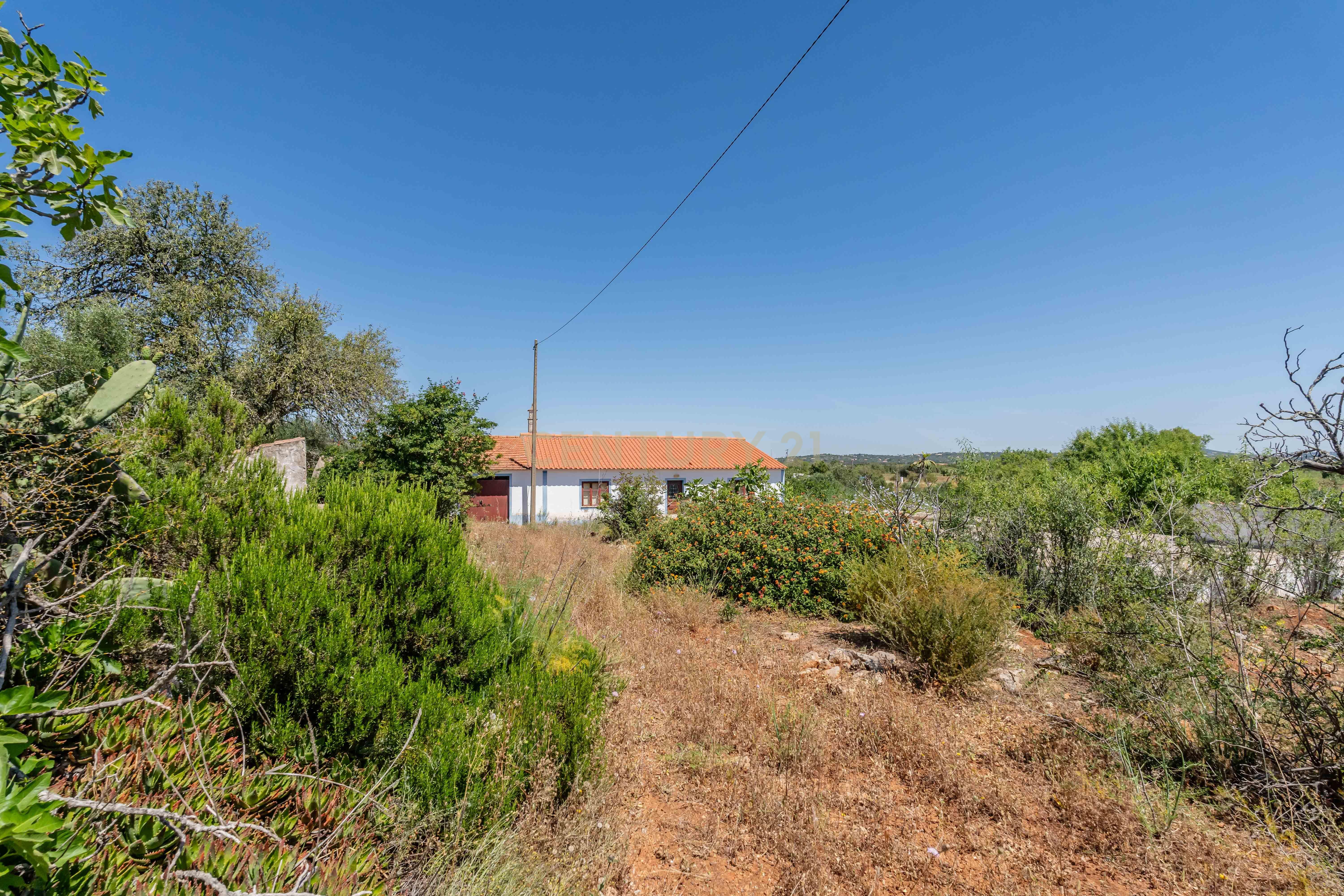 Quinta com Moradia a 20 minutos de Alcantarilha. - Image 38