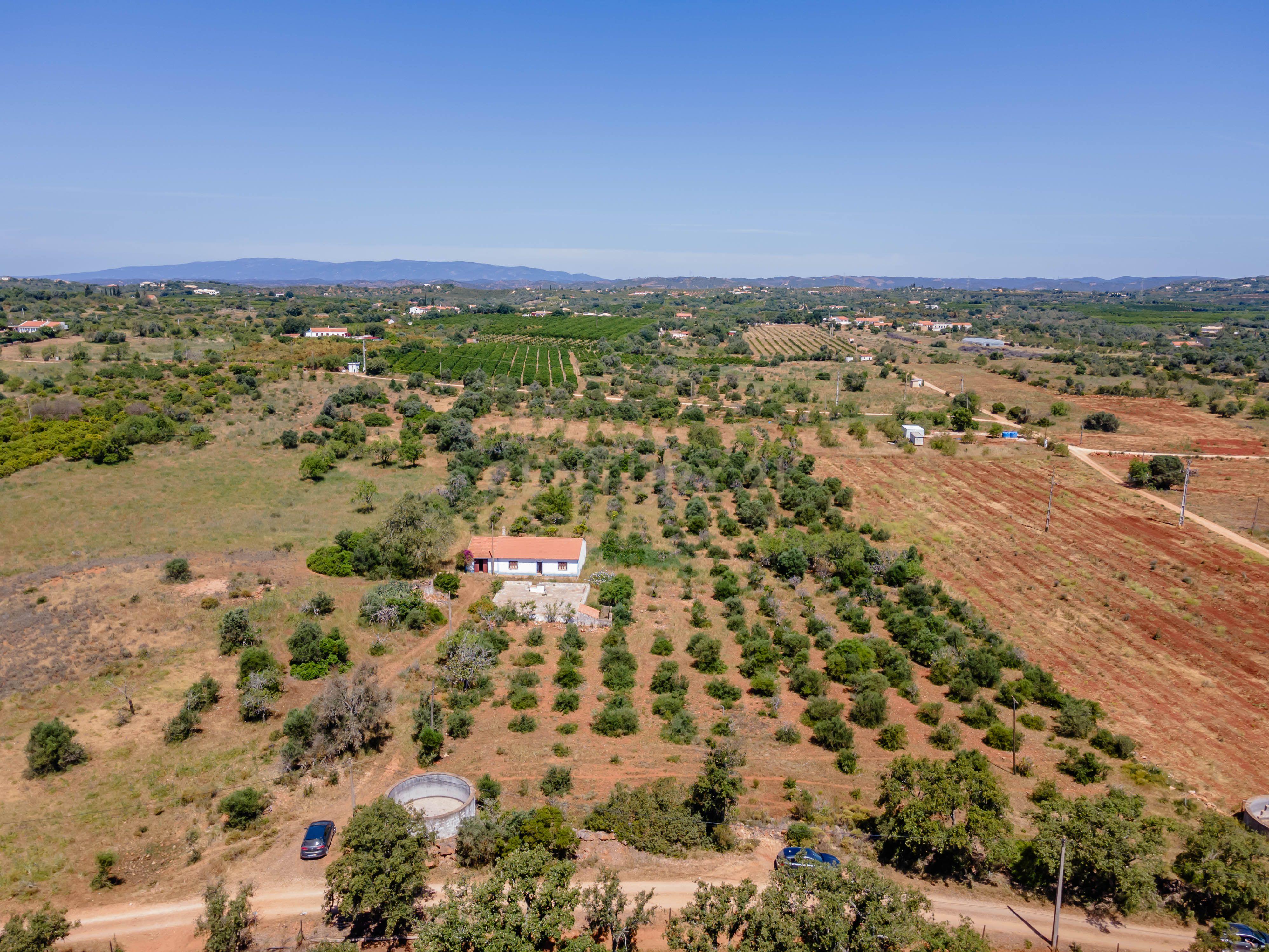 Quinta com Moradia a 20 minutos de Alcantarilha. - Image 35