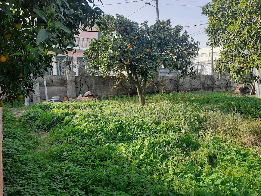 Lote de Terreno Urbano - Image 4