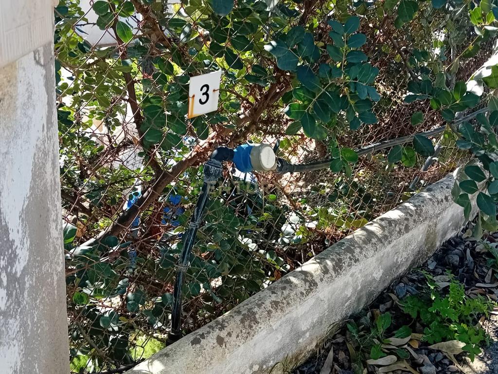 undefined - Image 4