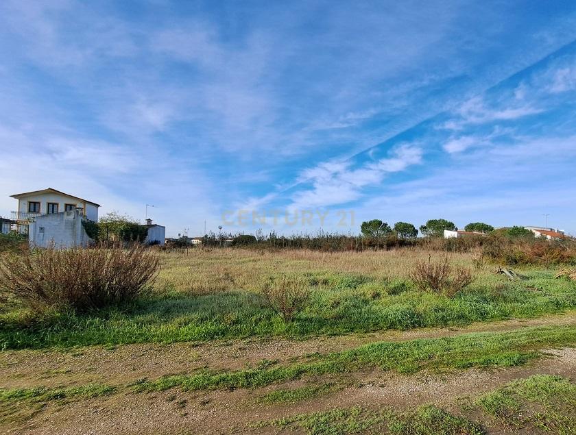Terreno Agualva de Cima - Palmela - Image 2