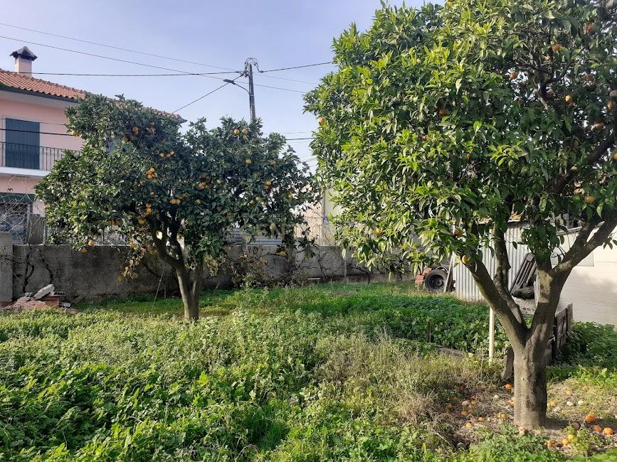 Lote de Terreno Urbano - Image 2