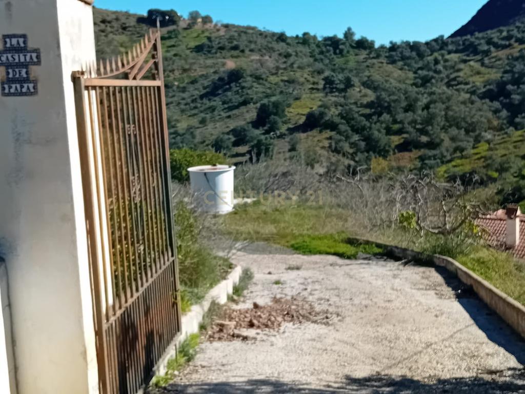 undefined - Image 2