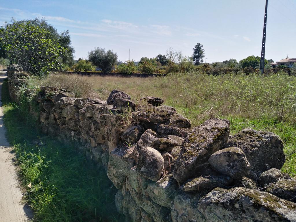Tereno em Alcains, Castelo Branco - Image 6